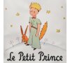 DOGO Le Petit Prince