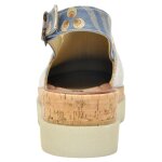 DOGO Akita - Urban animal