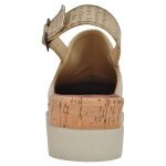 DOGO Akita - Ugly bird