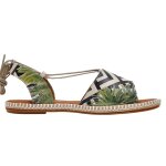 DOGO Hazel - Palm Fiction