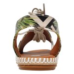 DOGO Hazel - Palm Fiction