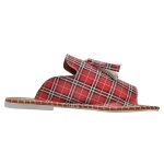 DOGO Pine - Just Cool