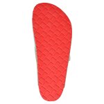 DOGO Stella - Explore